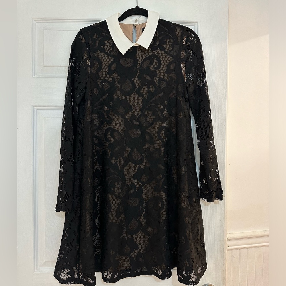 BCBGMaxAzria Black Lace with White Collar Dress